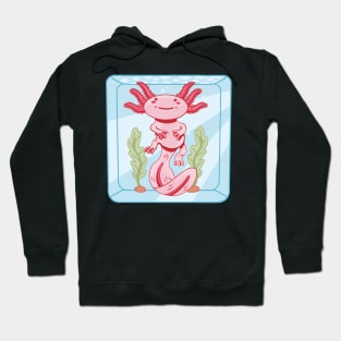 axolotl, axolotl pattern, salamander , salamander shirt, olm, pond newt, lizard , mexican salamander Hoodie